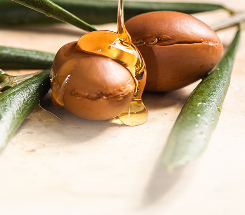 banner ARGAN 500x440px3