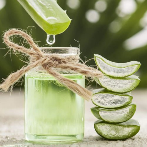 aloe2