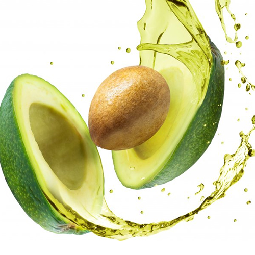 avocado2