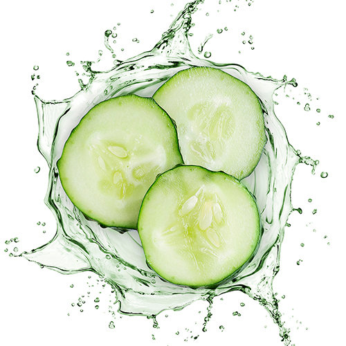 cucumber2